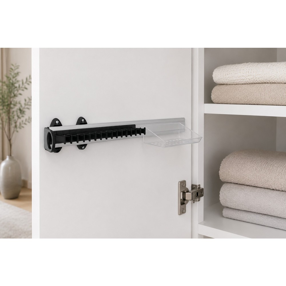 Pull-out tie hanger with accessory tray