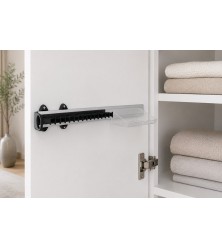 Pull-out tie hanger with accessory tray